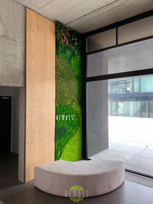 Click to view project – Praagse architecten