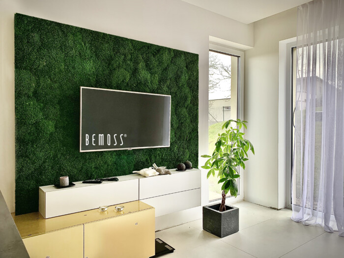 Click to view project – Platmos voor TV – woonproject
