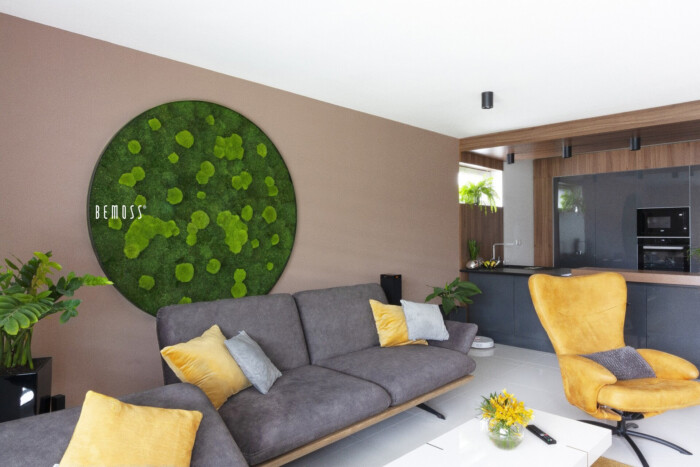 Click to view project – Cirkel van Flatmoss & Bolmoss