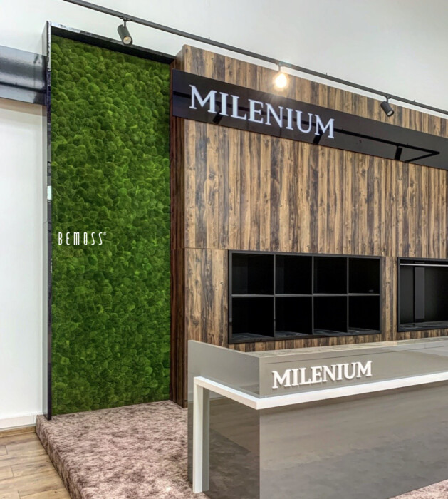 Click to view project – Milenium Šípoš Praag