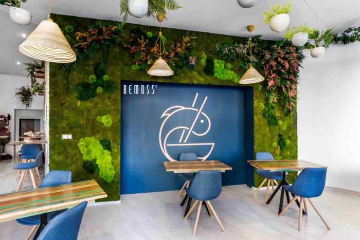 Click to view project – Poké Nitra