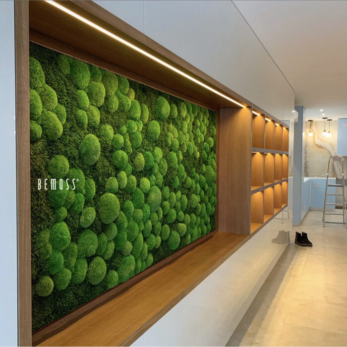 Click to view project – Flatmoss & Bolmoss – woonproject