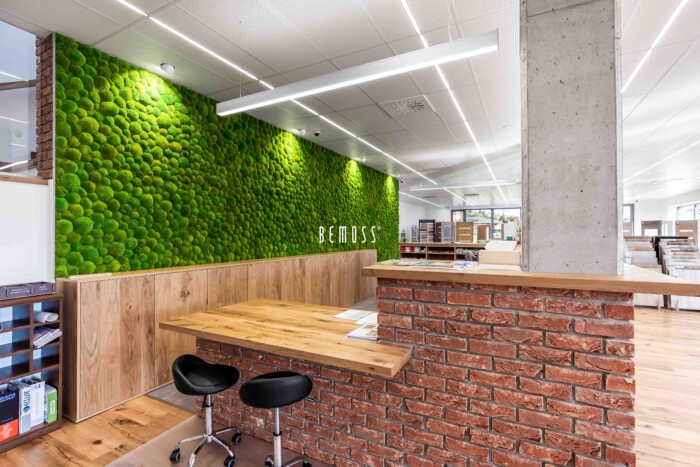 Click to view project – Muur van Bolmoss – Prešov
