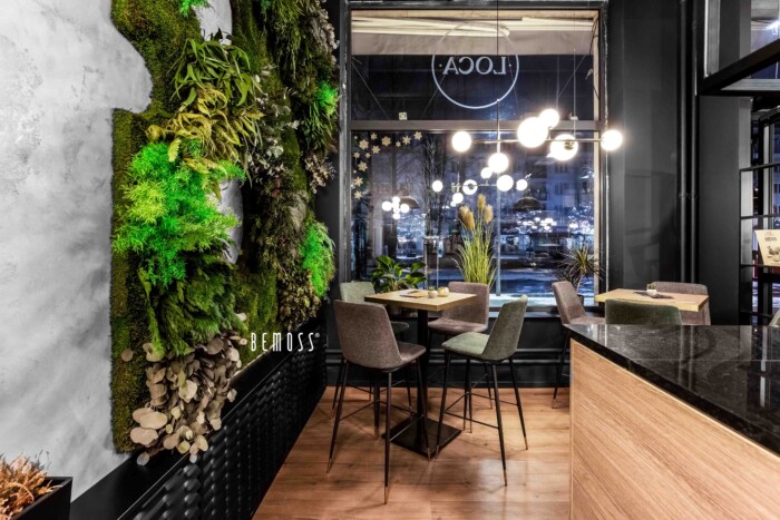 Click to view project – Café Žilina