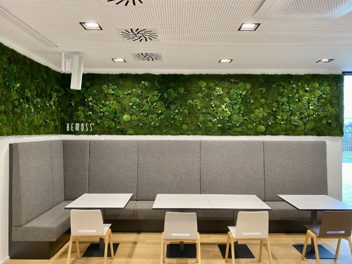 Click to view project – Commerciële ruimte Wieden