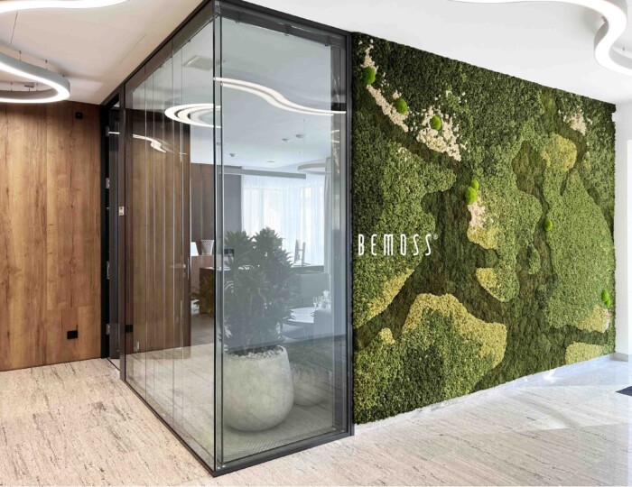 Click to view project – NEOL – CZ
