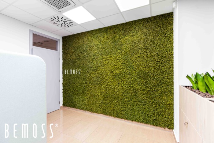 Click to view project – Všeobecná zdravotná poisťovňa