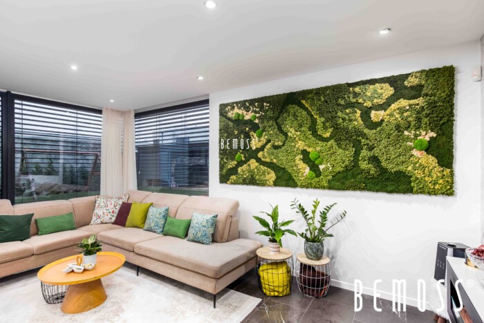 Click to view project – ORTHO foto in het familiehuis