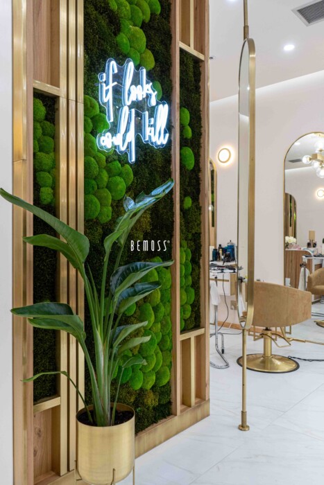 Click to view project – Rove Salon – Miami