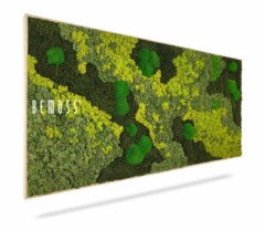 Een rechthoekige Mosschilderij BEMOSS® ORTHO LIME met verschillende tinten groen mos gerangschikt in een abstract patroon. De lichtere groene gebieden vormen clusters tussen de donkergroene delen, met "BEMOSS" in witte hoofdletters aan de linkerkant.