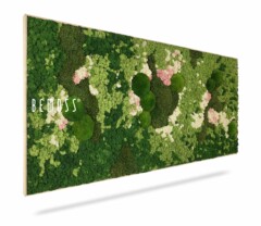 Een rechthoekige Mosschilderij BEMOSS® ORTHO PINK heeft dicht, levendig groen mos in verschillende tinten, met roze en witte mos verspreid over het ontwerp. Het woord "BEMOSS" wordt aan de linkerkant van het paneel weergegeven tegen een effen witte achtergrond.