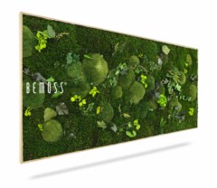 Een rechthoekig wandkunstwerk met een weelderig, groen mosdessin met verschillende soorten mos en kleine planten. Het frame is van dun en lichtgekleurd hout. Het woord "Mosschilderij PLANTEN Mesia" is in het wit gedrukt op de linkerkant van het moswand-kunstwerk.