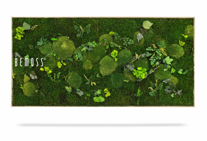Een ingelijste verticale tuin met een weelderig arrangement van Mosschilderij PLANTEN Mesia en verschillende soorten bladplanten. Het levendige groen contrasteert tegen een witte achtergrond, met de merknaam 