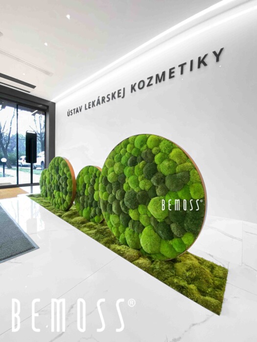 Click to view project – Instituut voor medische cosmetica