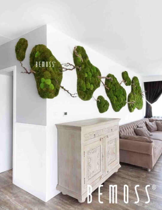 Click to view project – Siberisch – eilanden