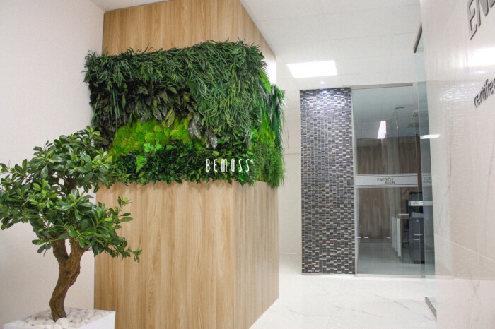 Click to view project – Planten op kantoor