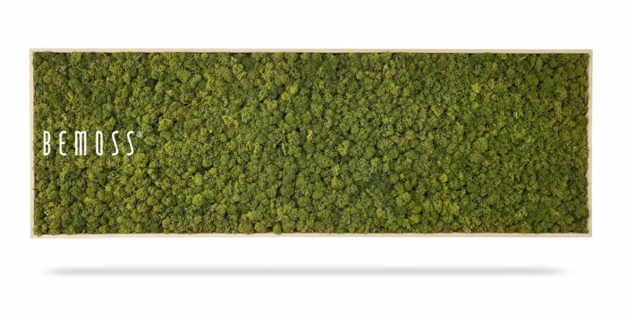 Een rechthoekig houten frame gevuld met weelderig groen geconserveerd mos wordt weergegeven tegen een effen witte achtergrond, waardoor een natuurlijk en levendig effect ontstaat. Het woord 