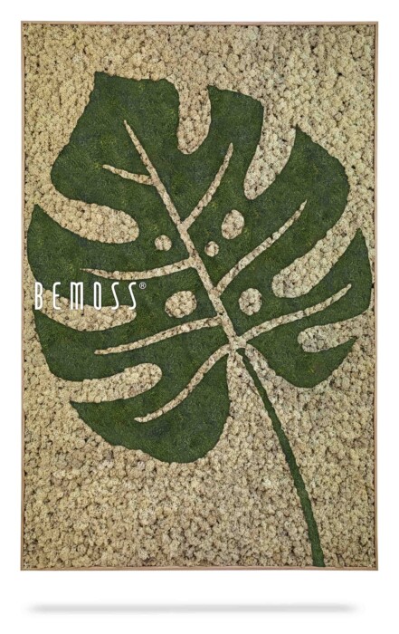 Een decoratief kunstwerk aan de muur met een groot groen monsterablad tegen een getextureerde beige achtergrond. Het woord 
