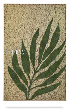 Een ingelijst rechthoekig kunstwerk met een groen varenbladpatroon tegen een beige, gestructureerde achtergrond. Het woord "Earth Albardo" is geschreven in witte hoofdletters in het linkerbovengedeelte van het ontwerp, wat een vleugje elegantie toevoegt aan dit prachtige moswandstuk.