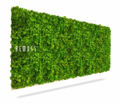 Een rechthoekig verticaal tuinpaneel, dicht begroeid met levendig groen mos. Op de linkerkant van het paneel staat in witte letters het woord "BEMOSS". Deze elegante Mosschilderij BEMOSS® MIMI is gemonteerd tegen een witte achtergrond en werpt daaronder een schaduw.