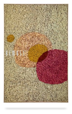 Een rechthoekig beige vloerkleed met de merknaam "BEMOSS" erop. De Abstract Foios heeft drie overlappende cirkels in oranje, geel en rood, waardoor een modern en abstract ontwerp ontstaat dat doet denken aan een levendig moswand-meesterwerk.