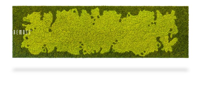 Een rechthoekig frame gevuld met levendige groene moskunst, met een gestructureerd, organisch patroon. Het woord 