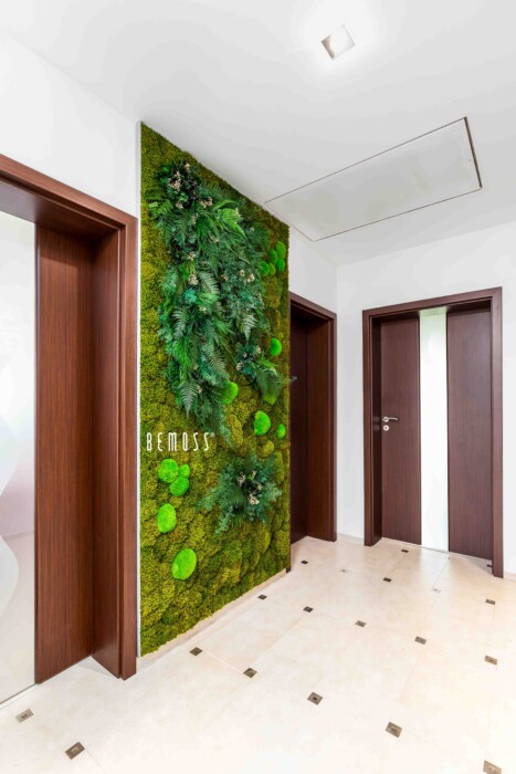 Click to view project – Siberisch en planten – woonproject