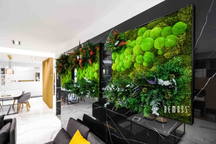 Click to view project – Schilderijen en plantenwand Trnava