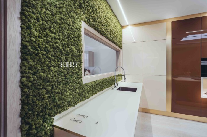 Click to view project – Muur in de keuken van Lišajník
