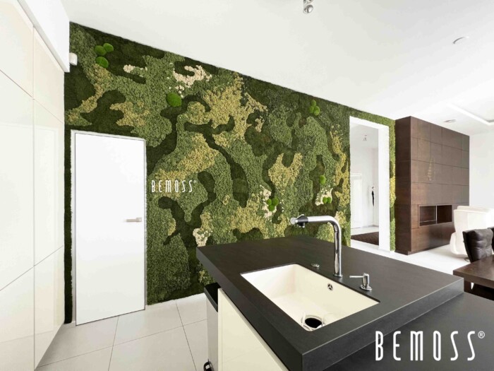 Click to view project – Ortho – woonproject