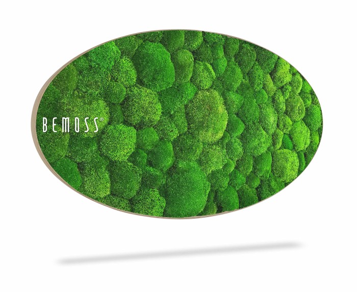 Een ovale kunst aan de muur met een groen, met mos bedekt oppervlak. De natuurlijke mosclusters zorgen voor een gestructureerde en levendige uitstraling. Op de linkerkant van de moswand staat het woord 