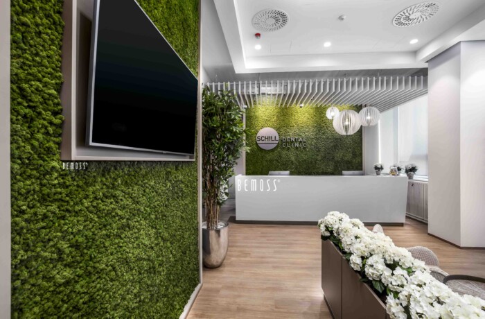 Click to view project – Schill Dental Košice