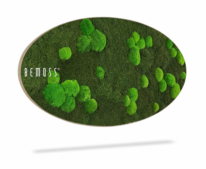 Een ovaalvormig decoratief wandstuk van BEMOSS met weelderig groen mos in verschillende vormen en maten, wat voor een natuurlijke en aardse esthetiek zorgt. Het levendige groene mos contrasteert met de neutrale achtergrond, waardoor een opvallend Mosschilderij Ellips FLATMOSS & BOLMOSS Light-ontwerp ontstaat.