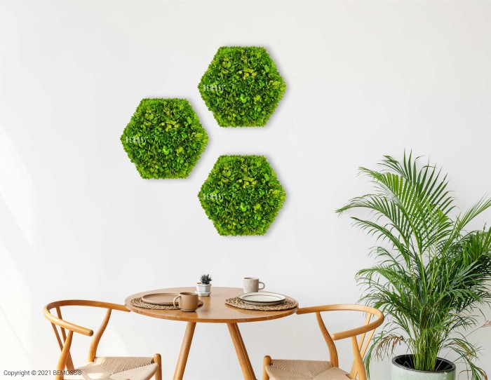 Een minimalistische eethoek met een ronde houten tafel en twee stoelen. Op de tafel staan twee placemats, een kleine potplant en een kaars. Achter de tafel aan de witte muur bevinden zich drie Moshexagon BEMOSS® MIMI-displays, gerangschikt in een driehoekig patroon. Naast de tafel wordt een bladplant geplaatst.