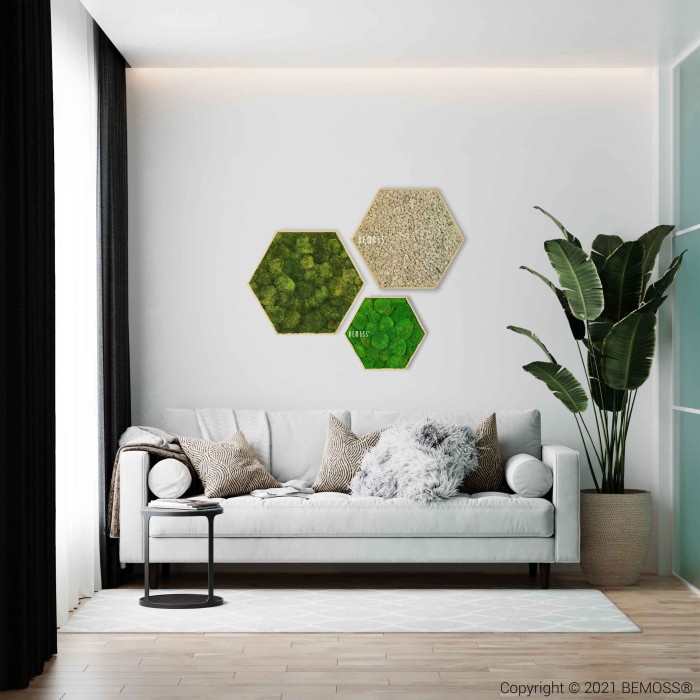 Een moderne woonkamer is voorzien van een witte bank versierd met neutraal gekleurde kussens en een deken. Boven de bank zijn drie zeshoekige Moshexagon SIBERISCHE muurkunstwerken met natuurlijk mos- en plantontwerpen gerangschikt. Rechts staat een grote potplant.
