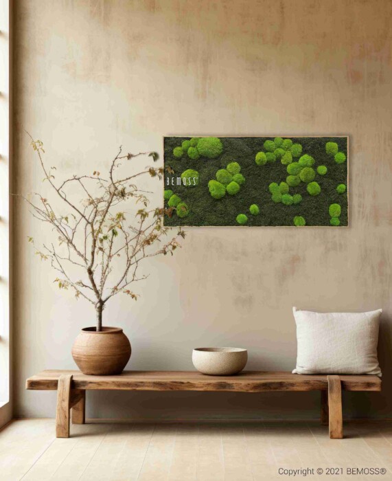 Een minimalistische kamer toont een potboom met schaarse bladeren op een lage houten bank. Het Mosschilderij FLATMOSS & BOLMOSS Light Green-kunstwerk hangt aan de beige muur erboven, terwijl een wit kussen op de bank rust.