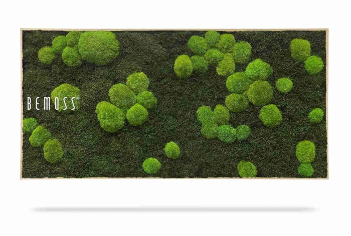 Rechthoekig Mosschilderij FLATMOSS & BOLMOSS Lichtgroen paneel met donkergroen mos en clusters van heldergroene vlekken van verschillende grootte, met links in het wit het woord 