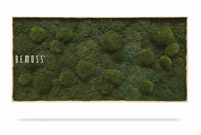 De Mosschilderij FLATMOSS & BOLMOSS Natural Green is een rechthoekig houten frame met gevarieerd groen geconserveerd mos - sommige plat, sommige rond - met 