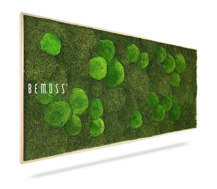 Dit prachtige Mosschilderij BEMOSS® ORTHO FOREST is een rechthoekig kunstwerk aan de muur en heeft een weelderig groen mosoppervlak. Clusters van rond mos in verschillende tinten creëren een driedimensionaal effect, waarbij het woord 