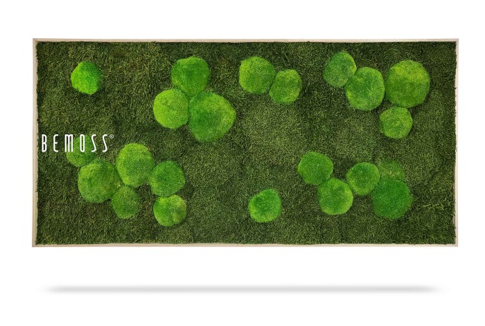 Een rechthoekige Mosschilderij BEMOSS® ORTHO FOREST met groen mos in verschillende maten, gerangschikt in organische, cirkelvormige trossen tegen een groene achtergrond. Het woord 