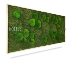 Een Mosschilderij BEMOSS® ORTHO FOREST met verschillende tinten groene mosformaties gerangschikt in organische, cirkelvormige patronen op een vlakke achtergrond. Het rechthoekige wandkunstwerk is ingelijst in hout en toont trots het BEMOSS-merk aan de linkerkant.