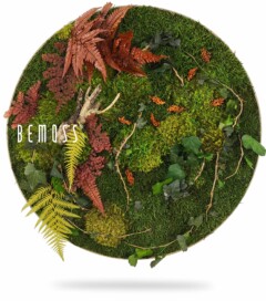 Een cirkelvormig kunstwerk met een verscheidenheid aan bewaarde planten, waaronder groen mos, rode en gele varens, klimop en oranje bloemen, esthetisch gerangschikt op een natuurlijke achtergrond. Op de linkerkant staat het woord "BEMOSS" gedrukt, waardoor dit de perfecte Mosschilderij cirkel PLANTEN Loreto is voor elke stijlvolle ruimte.