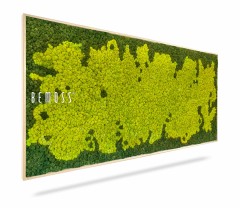 Rechthoekige muurkunst met een levendige groene mostextuur in verschillende tinten, met het opschrift "Mosschilderij BEMOSS® SPLASH" aan de linkerkant. Deze natuurlijk ogende moswand is ingelijst in een lichte houten rand en gefotografeerd tegen een witte achtergrond.