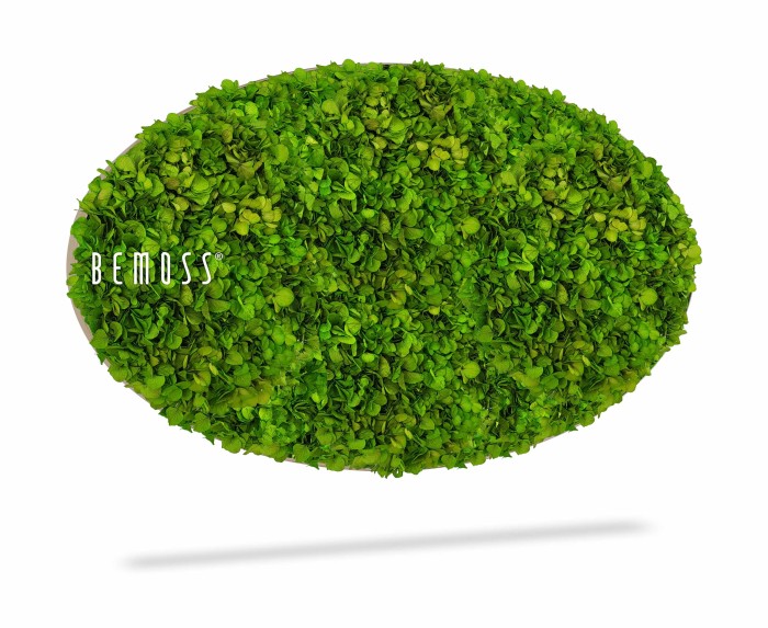 Een ovale wanddecoratie bedekt met levendig groen geconserveerd mos, met aan de linkerkant de merknaam 