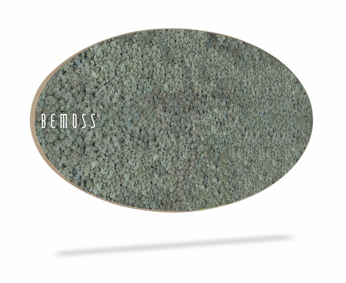 Een ovaalvormig, groen gestructureerd oppervlak dat lijkt op Mosschilderij Ellips RENDIERMOS mono hangt aan een witte muur. Op de linkerkant van het object staat in witte letters het woord 