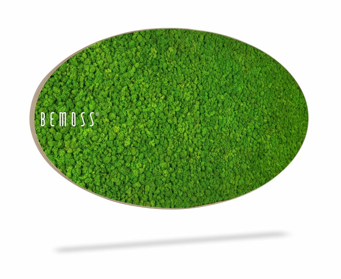 Een grote ovale wanddecoratie met het opschrift 