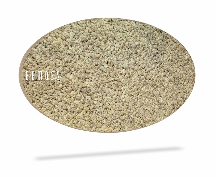 Ovaalvormig beige wanddecor van verduurzaamd mos, met op de linkerkant de tekst 