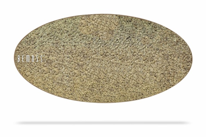 Een ovaalvormige Mosschilderij Ellips RENDIERMOS mono met een gestructureerd oppervlak in beige en lichtbruine tinten, dat doet denken aan zacht, pluche mos. Op de linkerzijde is de merknaam 