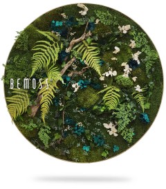 Een rond bloemenkunstwerk met aan de linkerkant het woord "BEMOSS". Het bevat een verscheidenheid aan groene planten, mos, varens en kleine witte en blauwe bloemen die symmetrisch binnen een cirkelvormig frame zijn gerangschikt, waardoor een natuurlijk, gestructureerd uiterlijk ontstaat dat lijkt op een prachtige Mosschilderij-cirkel PLANTEN Moraleda.