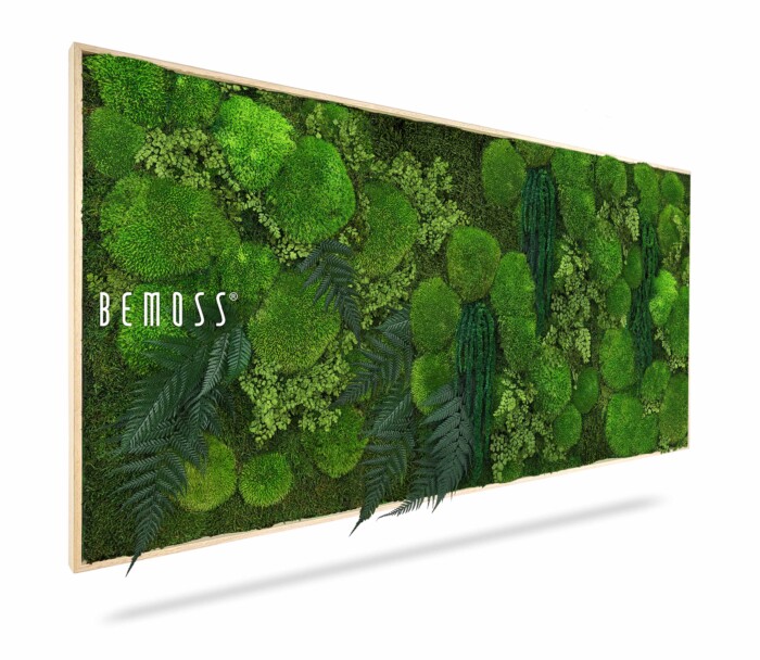 Een rechthoekig wandframe gevuld met verschillende soorten groen mos en blad, waardoor een weelderige, gestructureerde verticale tuin ontstaat. Aan de linkerkant van de houten Mosschilderij PLANTEN Zorita staat het woord 